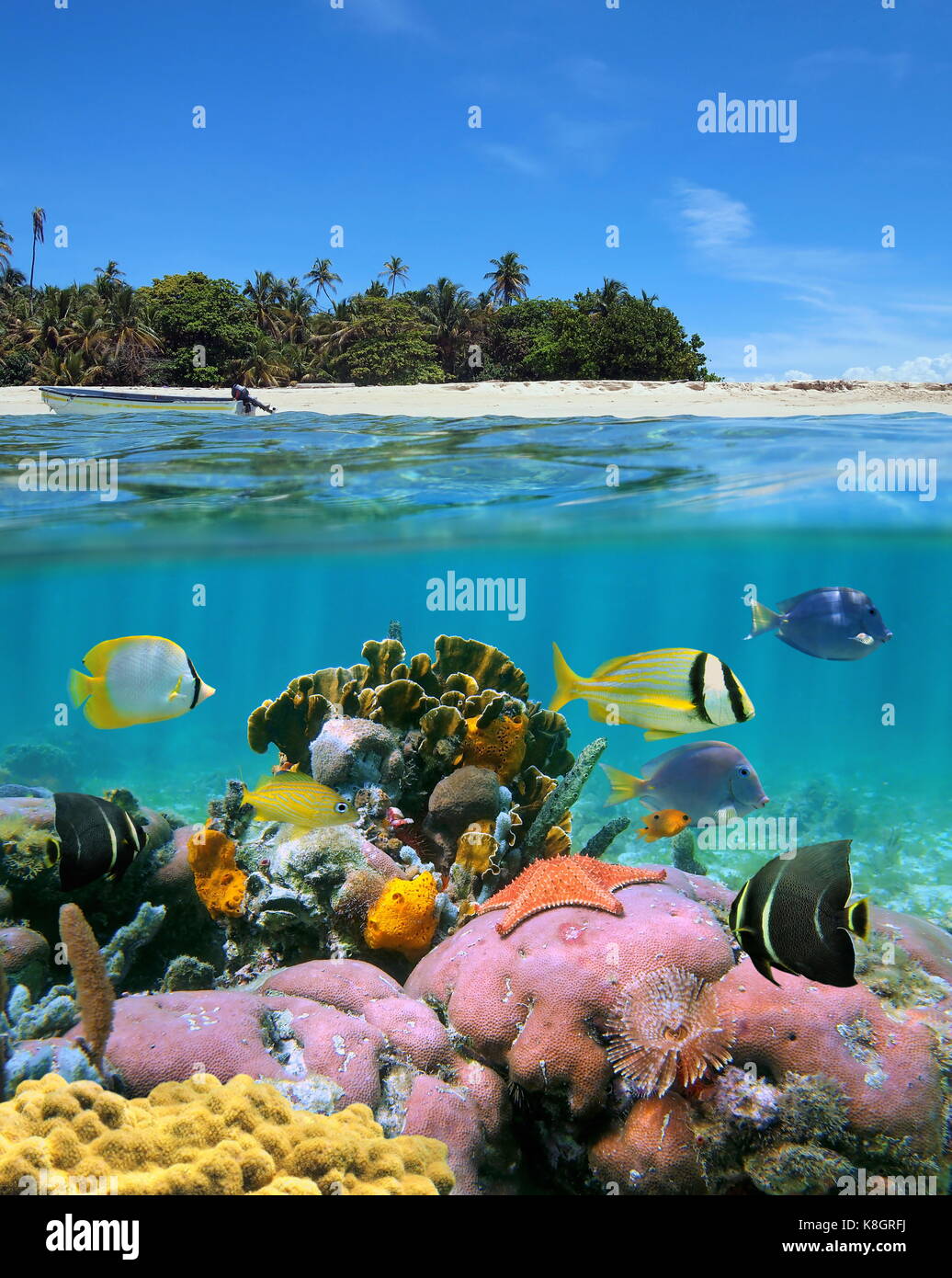 Sur et sous la surface de la mer image fractionnée près d'une île tropicale avec une plage de sable et vie marine colorée avec sous-marines de poissons tropicaux Banque D'Images