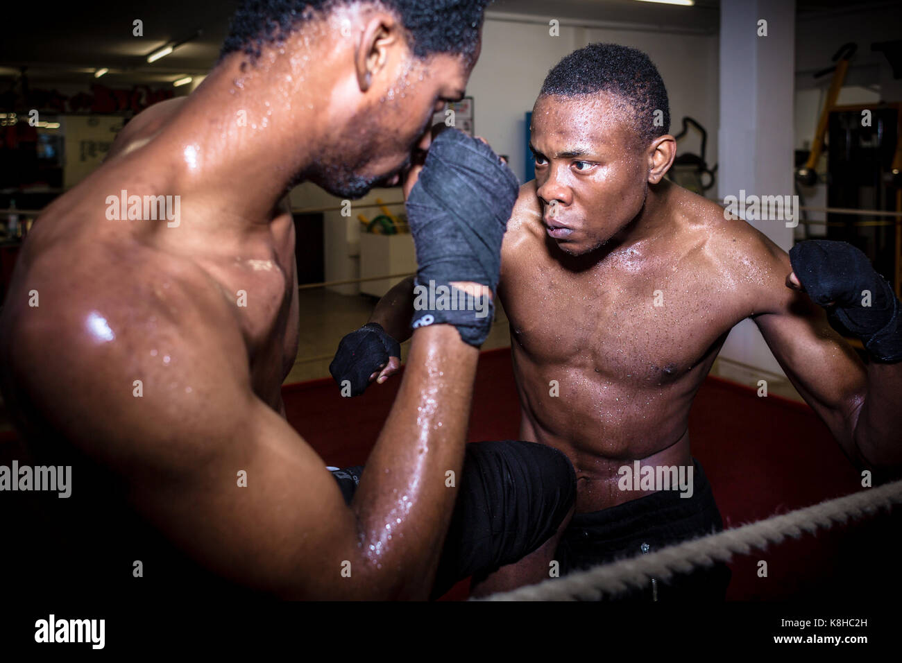 Offensive déterminée fighter frapper son adversaire tout en practici Banque D'Images