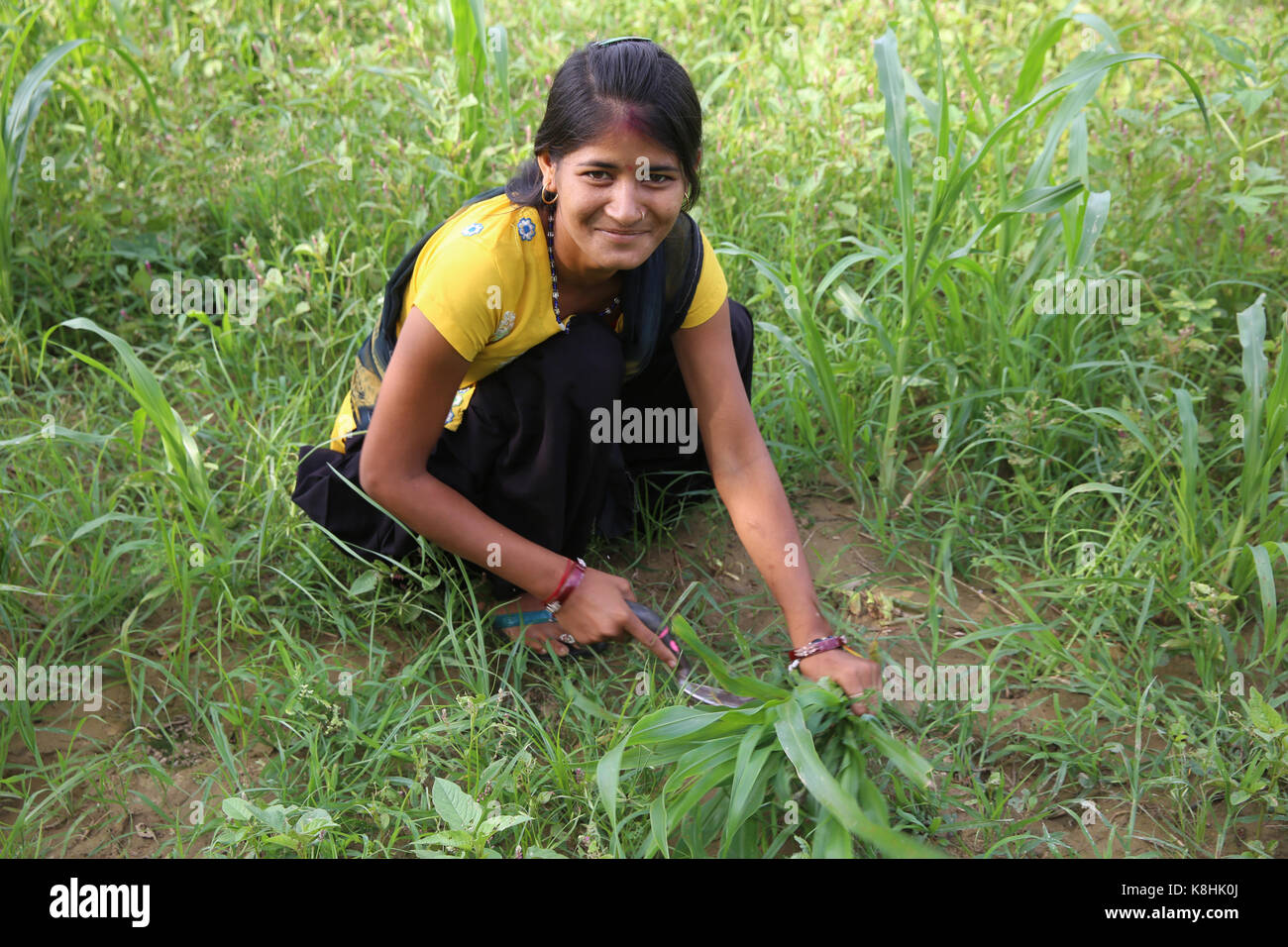 Jeune femme goverdan, village près de l'Uttar Pradesh. L'Inde. Banque D'Images