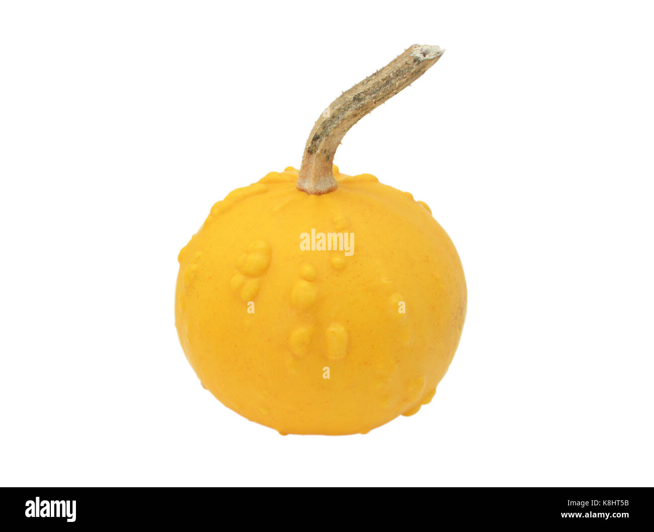 Orange ronde ornamental gourd avec warty grumeaux, isolé sur fond blanc Banque D'Images