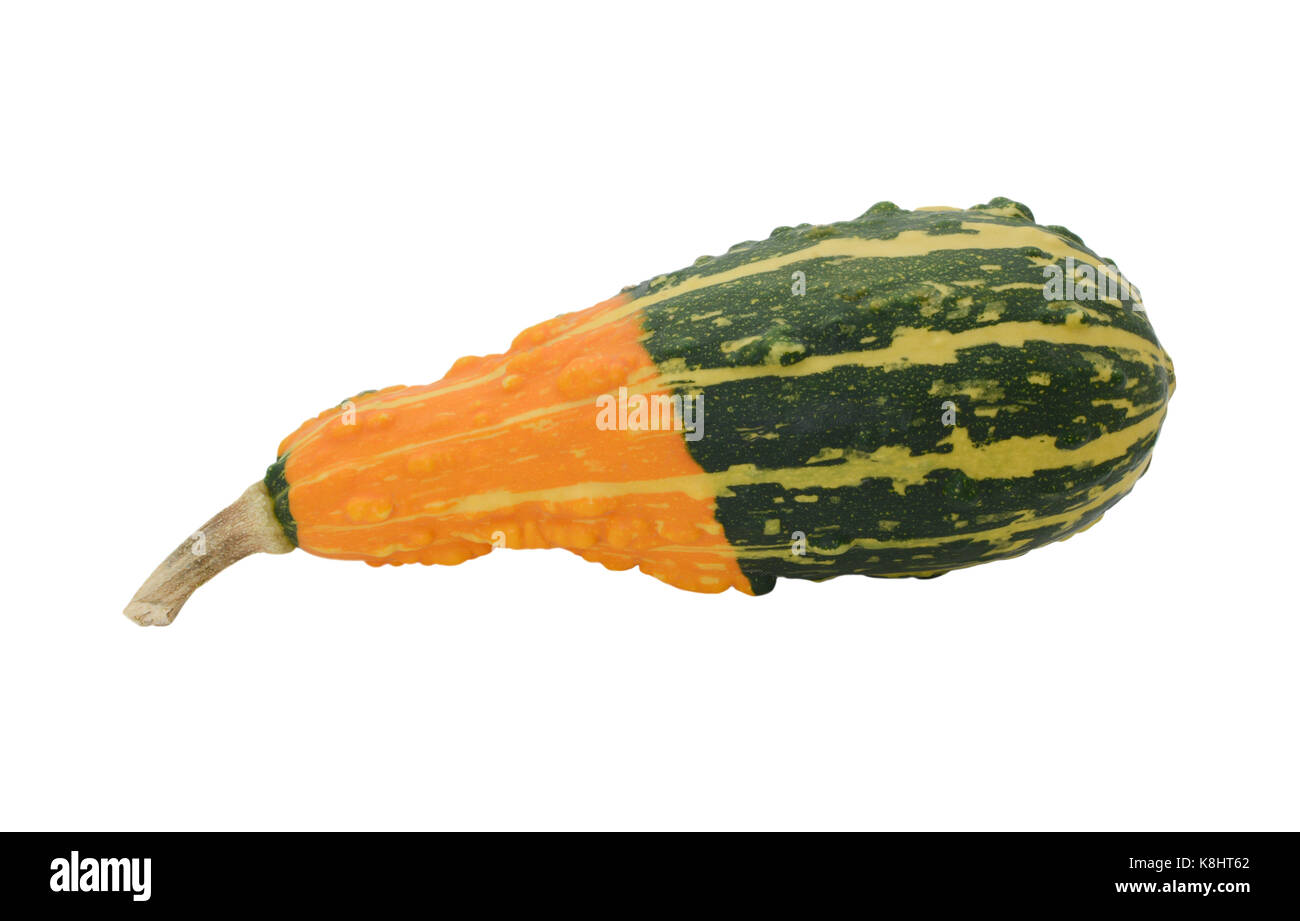Ornement en forme de poire gourd avec bold vert et orange, rayures, isolé sur fond blanc Banque D'Images