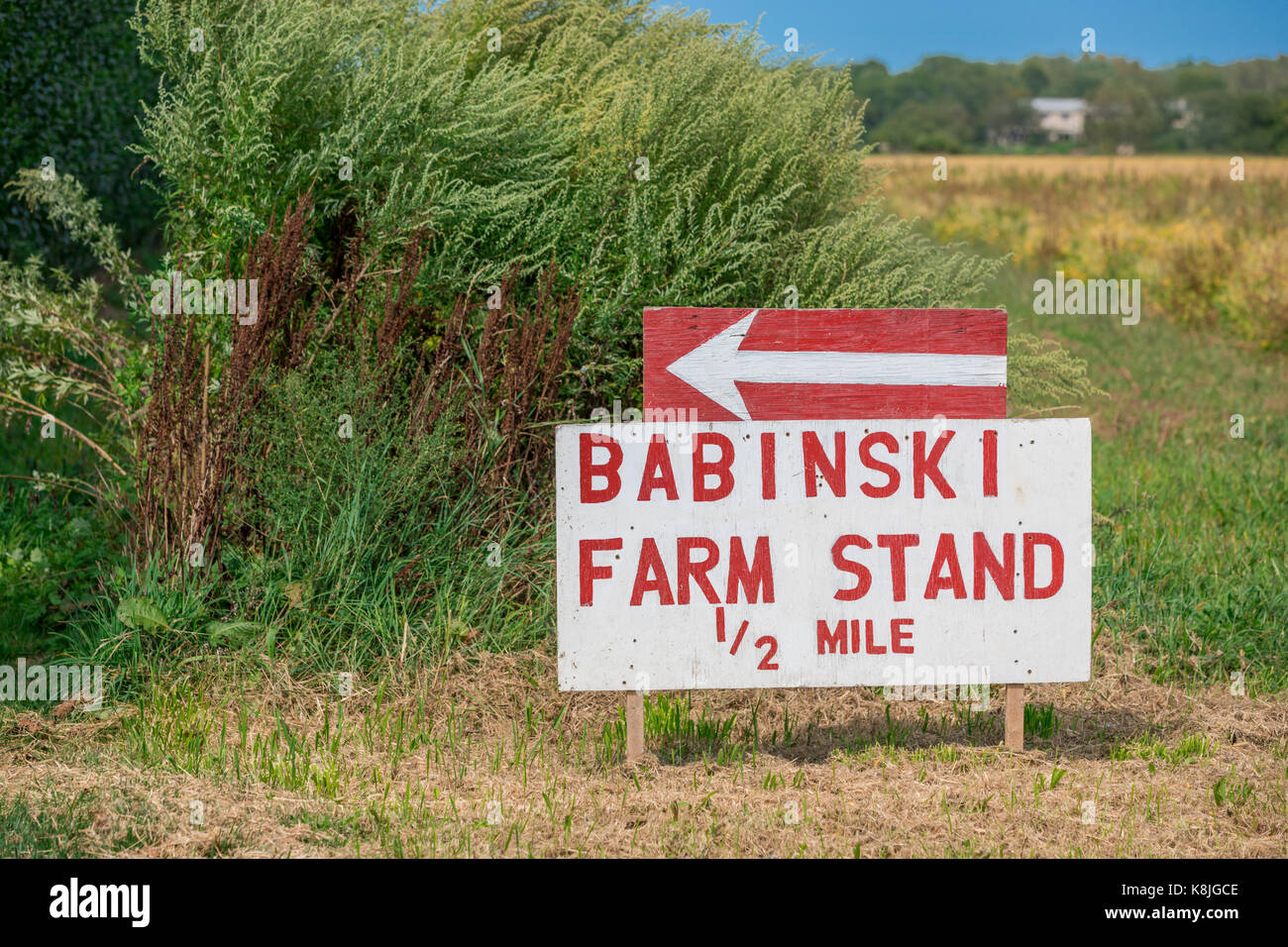 Babinski farm stand signe sur le bord de la route en bridgehampton, ny Banque D'Images