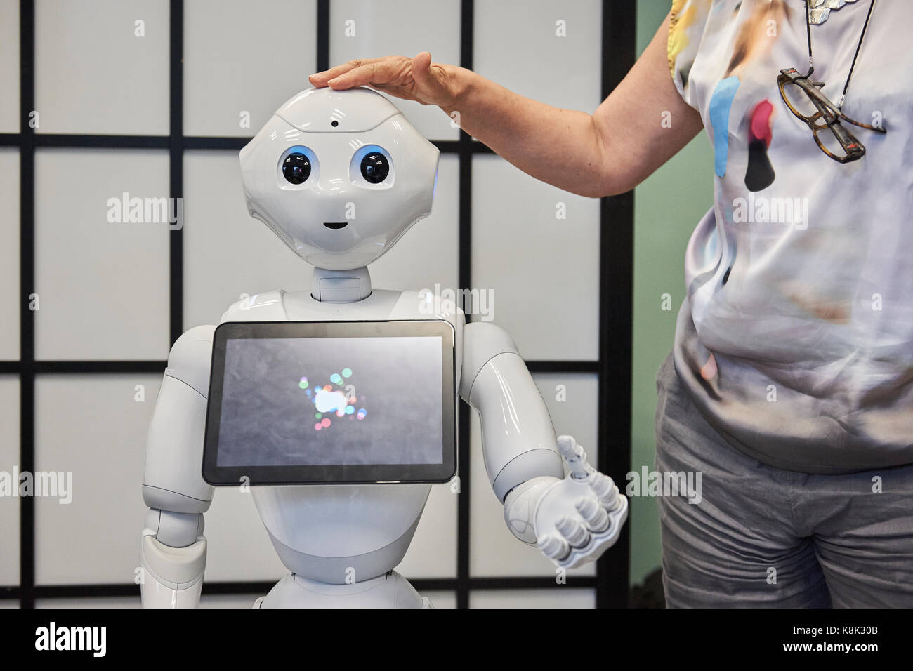 La recherche du robot Banque D'Images