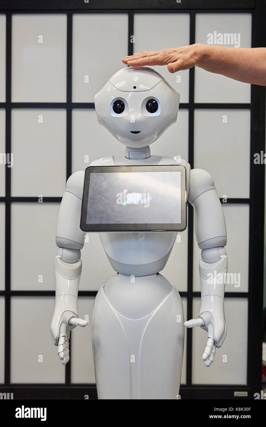 La recherche du robot Banque D'Images