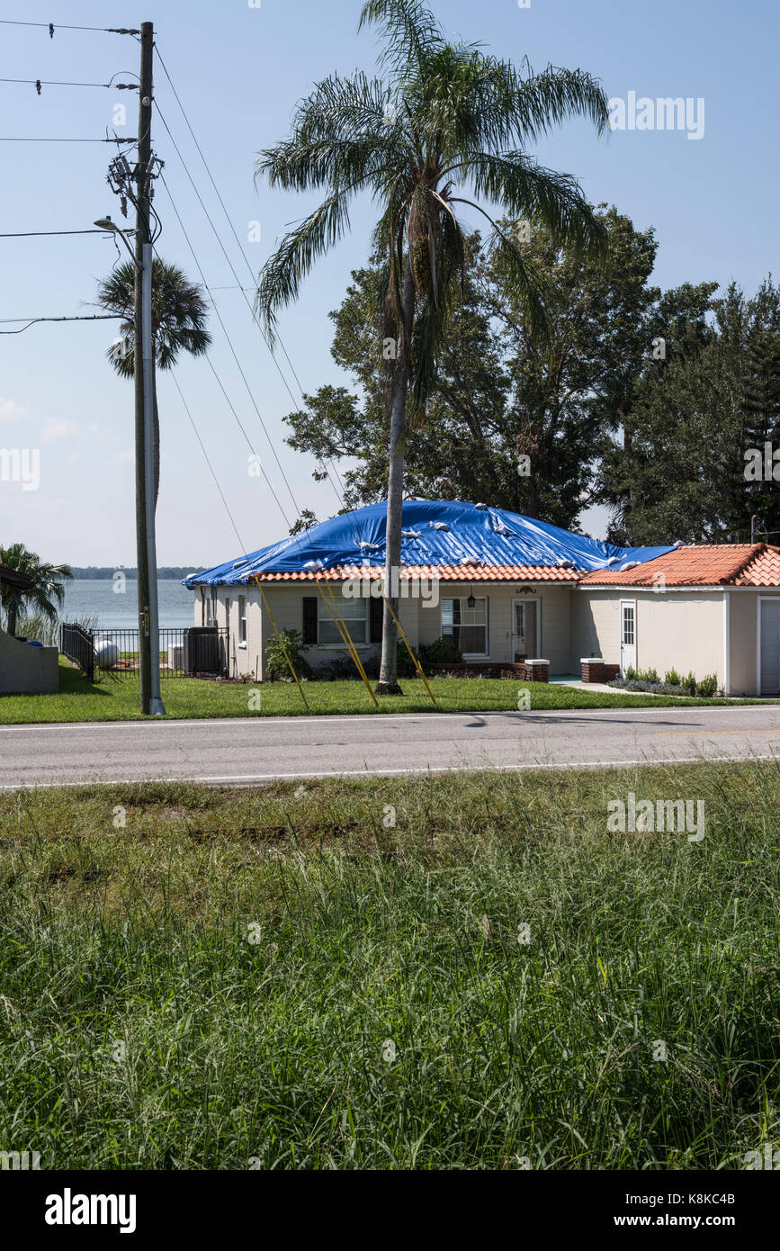 Bâche bleue utilisé pour Irma Ouragan Dommages de toit dans le centre de la Floride, USA Banque D'Images