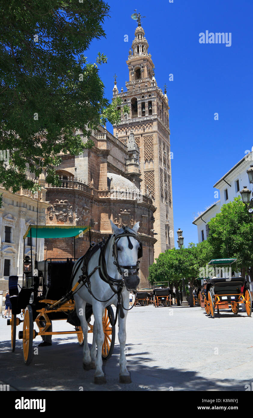 La cathédrale de Séville et de chariots, Espagne Banque D'Images