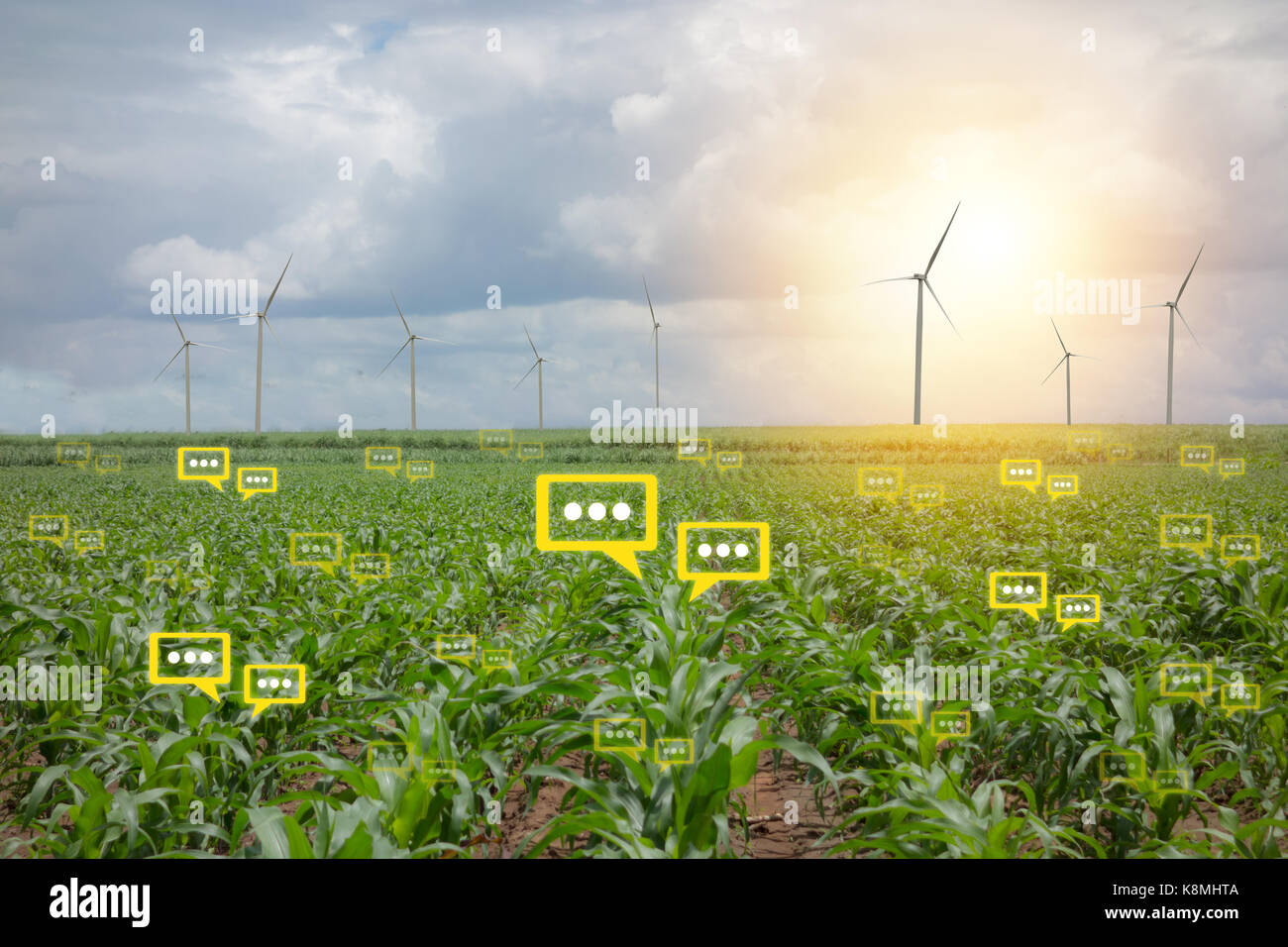 La bulle des données le chat détecter par technologie futuriste dans l'agriculture intelligente avec l'intelligence artificielle pour améliorer le rendement, l'efficacité, et profita Banque D'Images