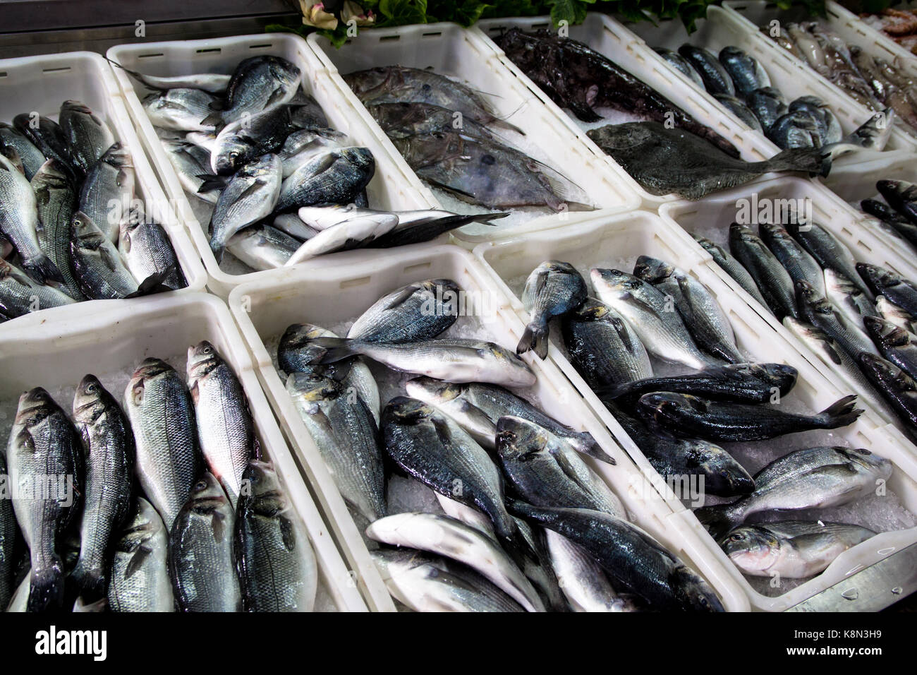 Le poisson frais - sea bass sur le marché aux poissons Banque D'Images