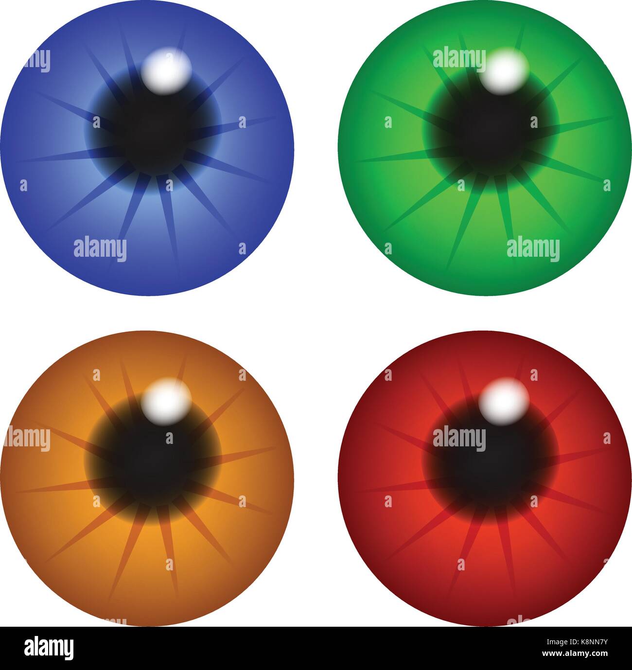 L'œil de l'iris, la pupille, le globe oculaire . Ensemble de vecteur réaliste illustration isolé sur fond blanc. Illustration de Vecteur