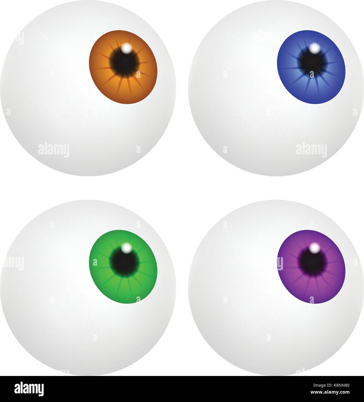 Globe oculaire à pupille colorée, iris. Partie du corps humain réaliste. Vector illustration isolé sur fond blanc. Illustration de Vecteur