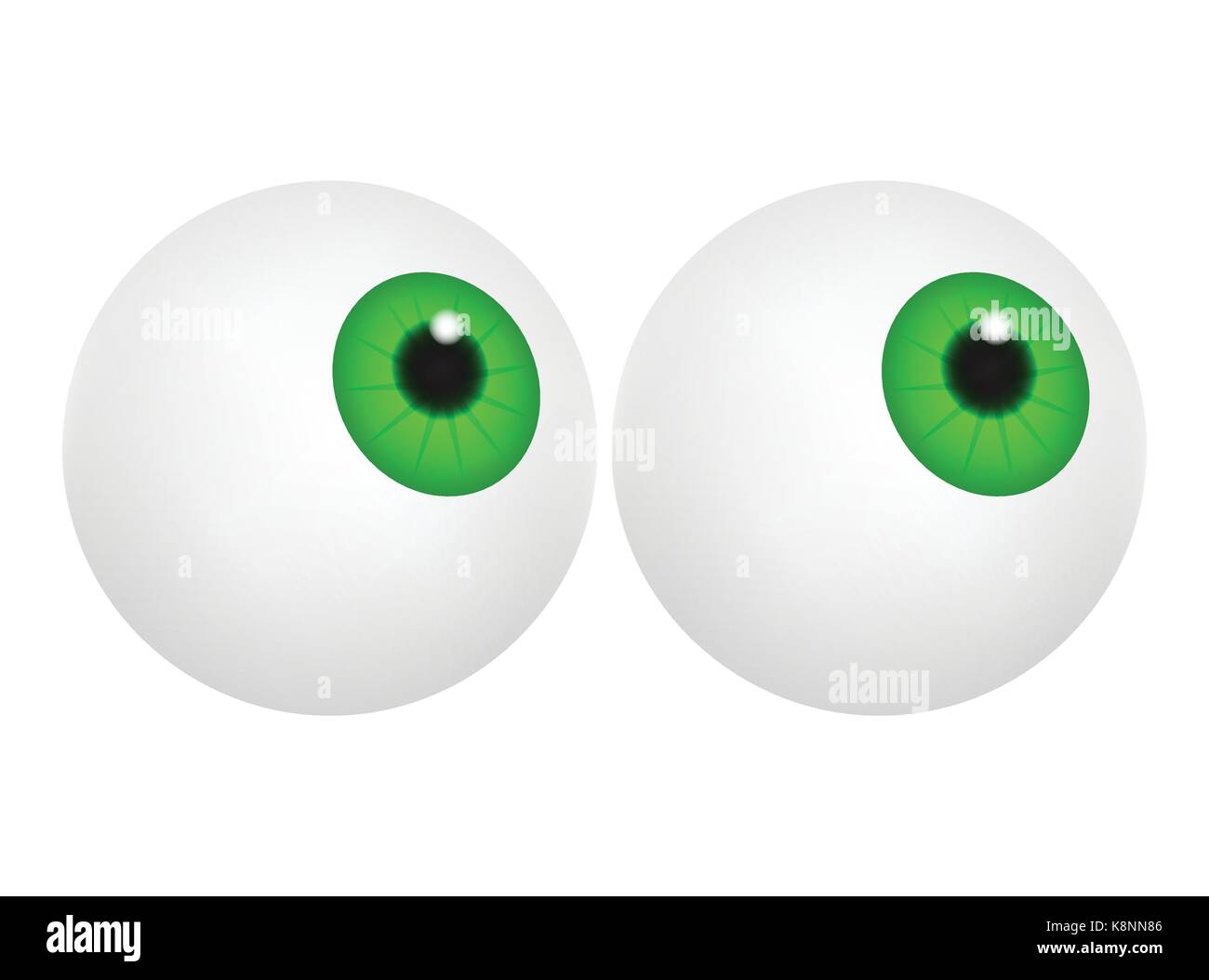 Green Globe Oculaire à pupille, l'iris. Partie du corps humain réaliste. Vector illustration isolé sur fond blanc. Illustration de Vecteur