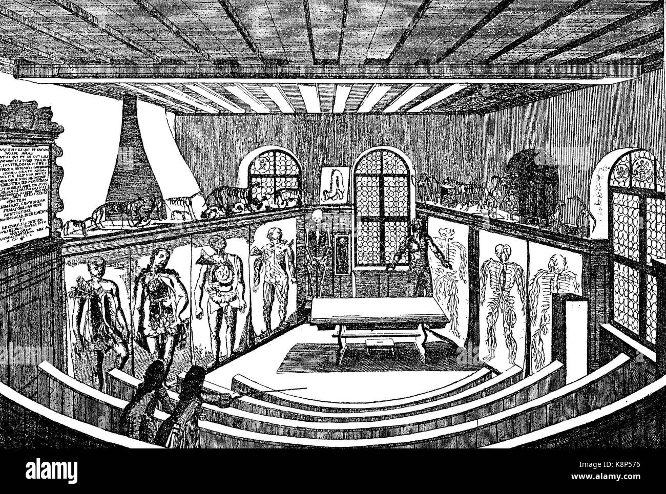 Théâtre anatomique dans l'université, Anatomisches Theater in der Universität Zürich, Deutschland, 1750, l'amélioration numérique reproduction d'une gravure sur bois, publié dans le 19e siècle Banque D'Images