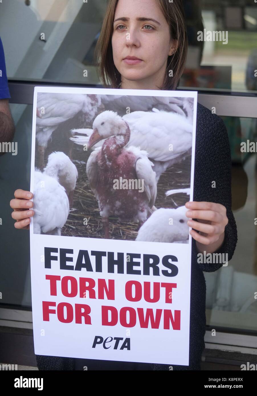 Los Angeles, Californie, États-Unis. 20 septembre 2017. Les supporters de PETA et une « oie » géante à plumes d'oiseau tiennent une manifestation devant un magasin Bed Bath & Beyond à Los Angeles, le 20 septembre 2017, pour exhorter la chaîne à vendre uniquement des matériaux sans duvet qui n'utilisent pas de plumes d'oiseau. Crédit : Ringo Chiu/ZUMA Wire/Alay Live News Banque D'Images