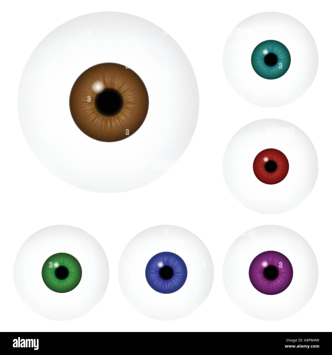 Image de l'œil humain réaliste ball avec des élève, iris. Vector illustration isolé sur fond blanc. Illustration de Vecteur
