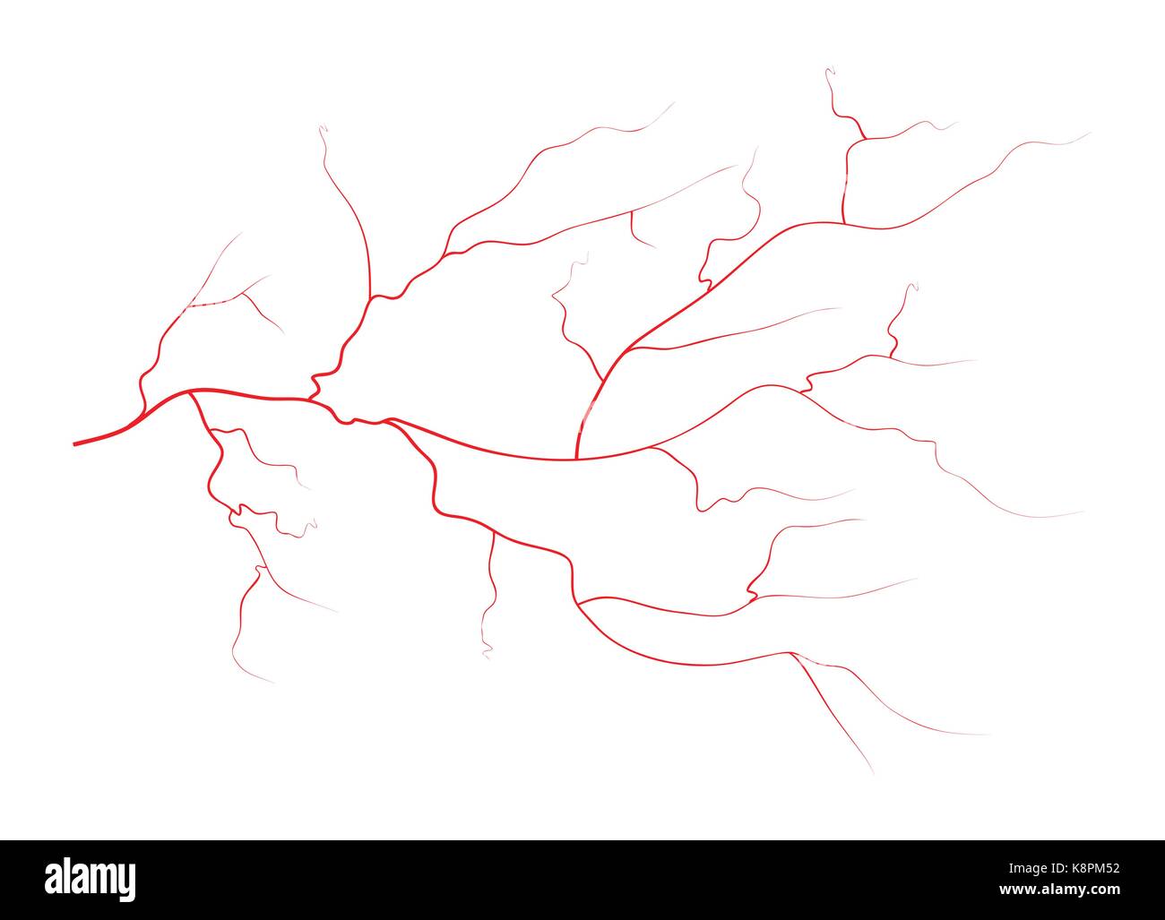Définir des droits de l'oeil rouge veines, vaisseaux sanguins, du système sanguin. Vector illustration isolé sur fond blanc Illustration de Vecteur