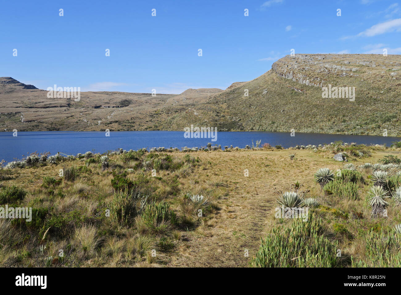 Vue sur le lac du parc national des hautes terres sumapaz ; Bogota ; Colombie novembre Banque D'Images