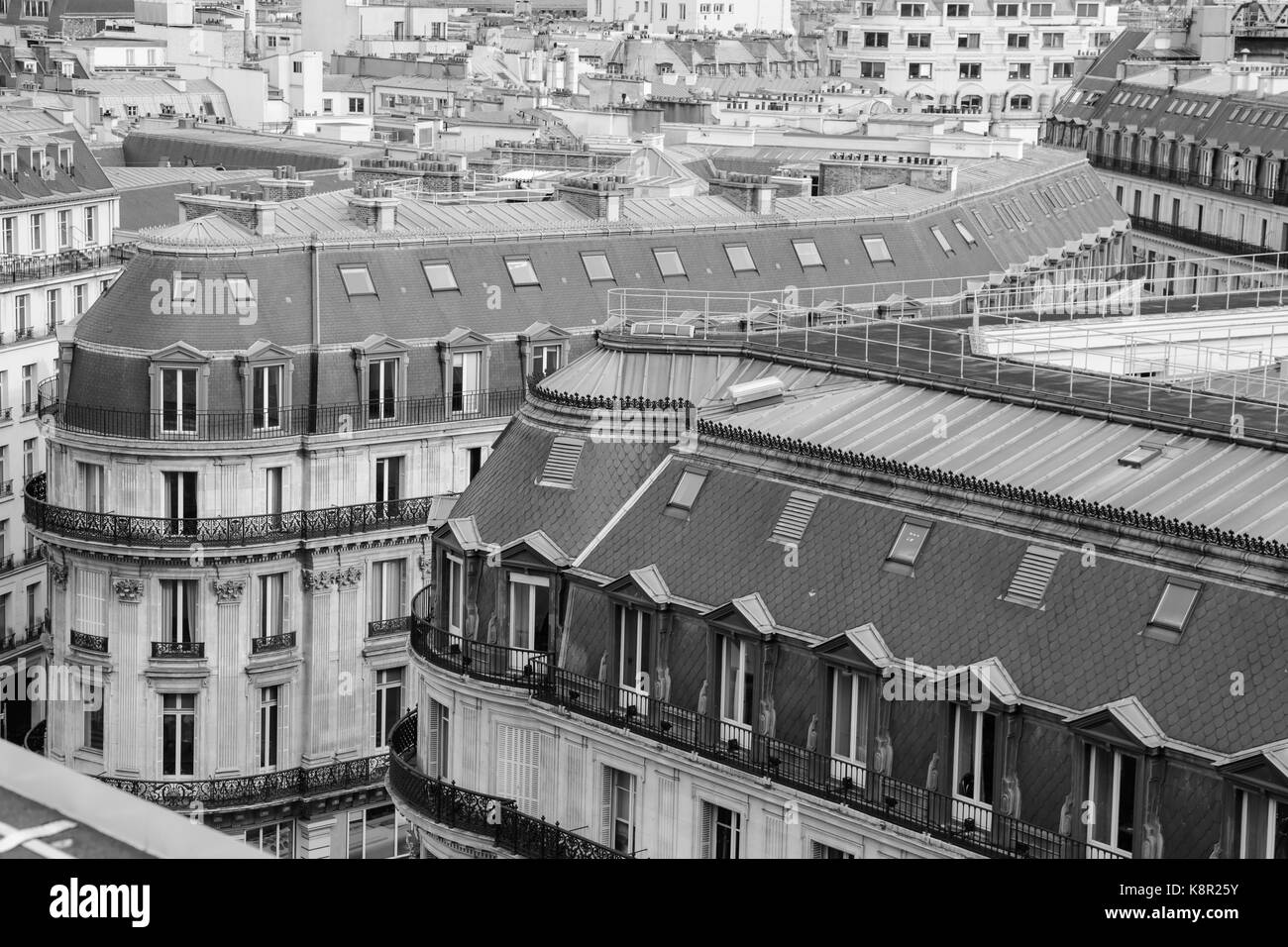 Paris, France : vue sur l'horizon des toits bleus typiques appartements Haussmann et des principaux monuments de la terrasse, dans un jour nuageux Banque D'Images