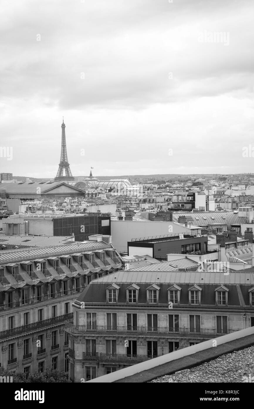 Paris, France : vue sur l'horizon des toits bleus typiques appartements Haussmann et des principaux monuments de la terrasse, dans un jour nuageux Banque D'Images