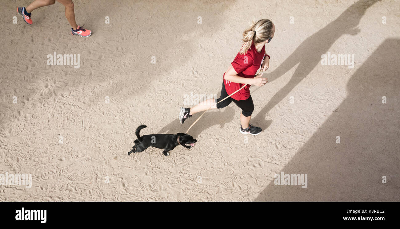 Jeune femme jogging avec chiens. Banque D'Images