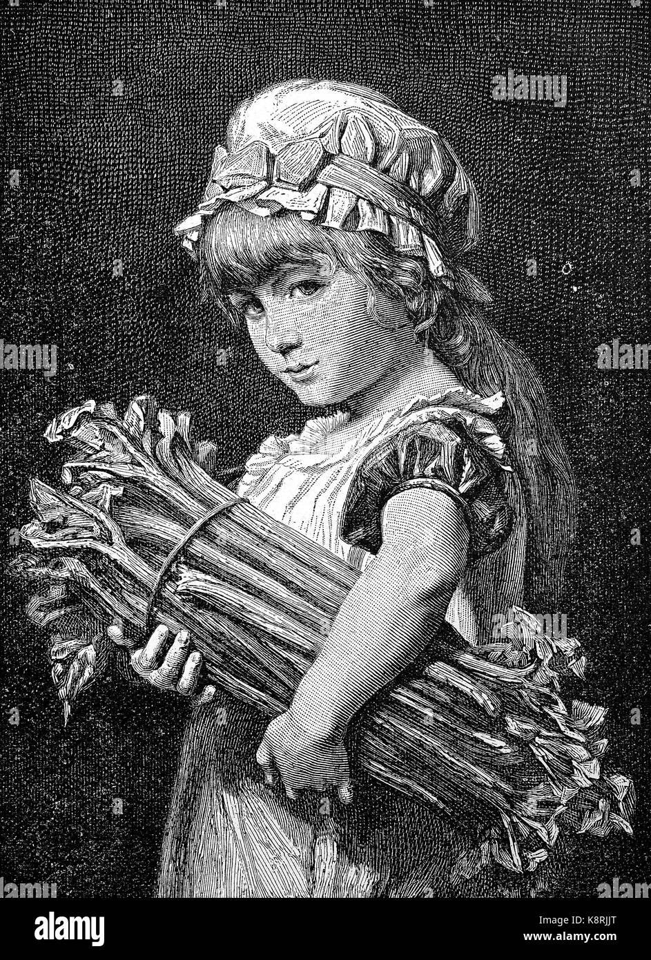 Fille avec un tas de bâtons de rhubarbe, Mädchen mit einem Bündel numérique Rhabarberstangen, amélioration de la reproduction d'une gravure sur bois, publié dans le 19e siècle Banque D'Images