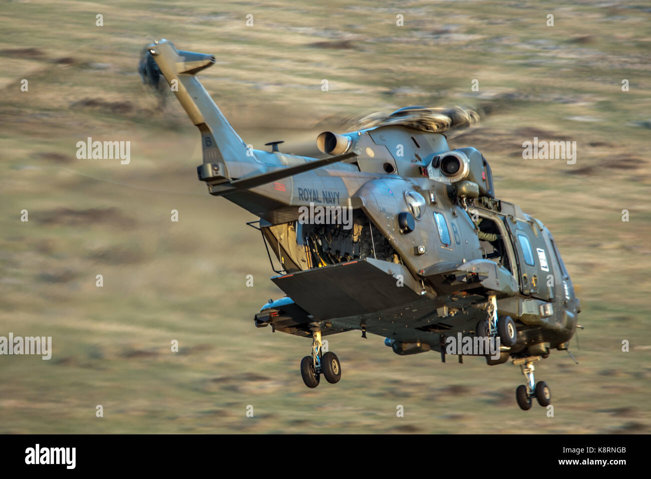 Commando merlin Banque de photographies et d’images à haute résolution ...