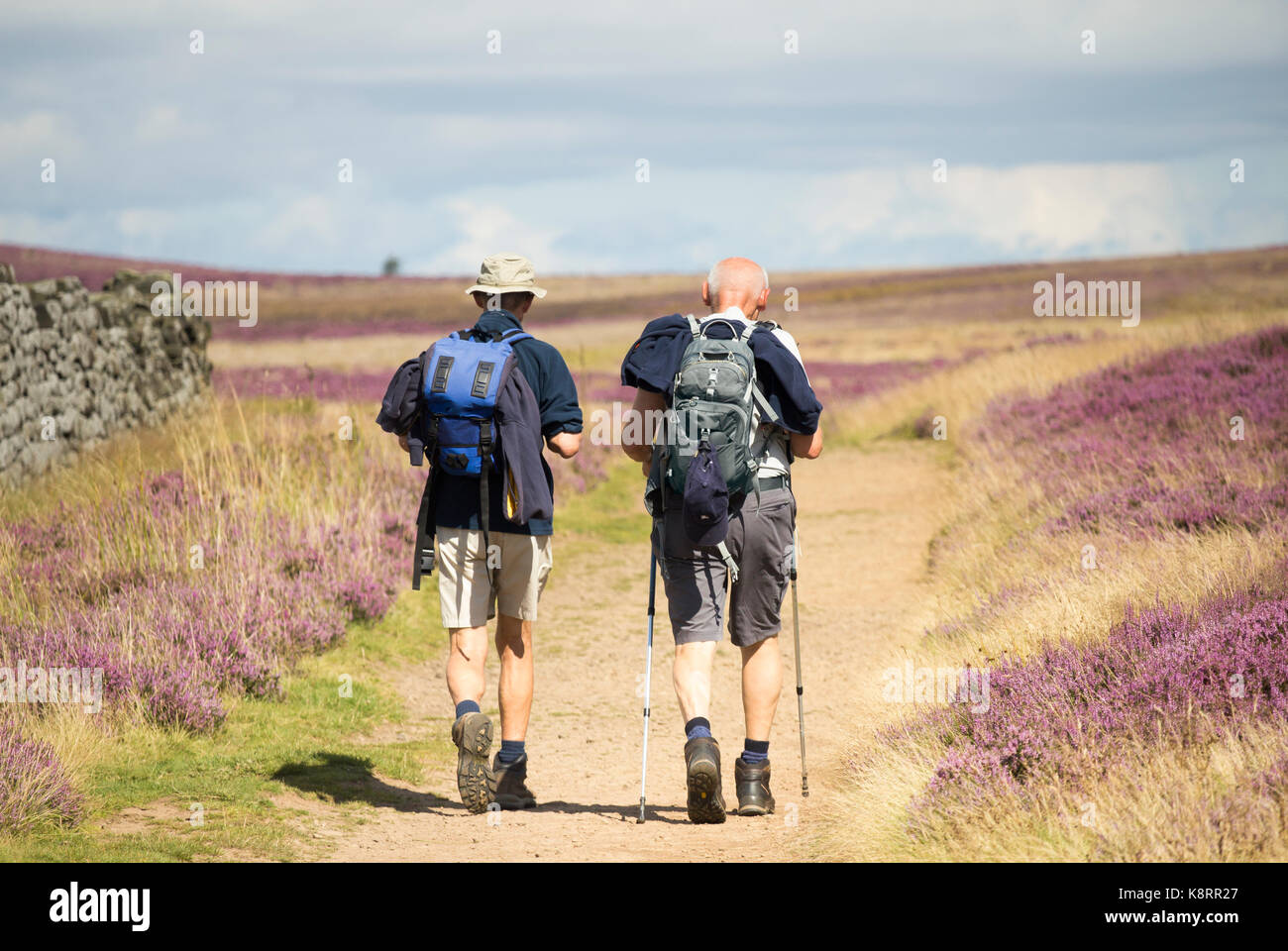 Mâle mature randonneurs sur le sentier national moyen de Cleveland dans le North York Moors National Park. North Yorkshire, Angleterre. UKg Banque D'Images