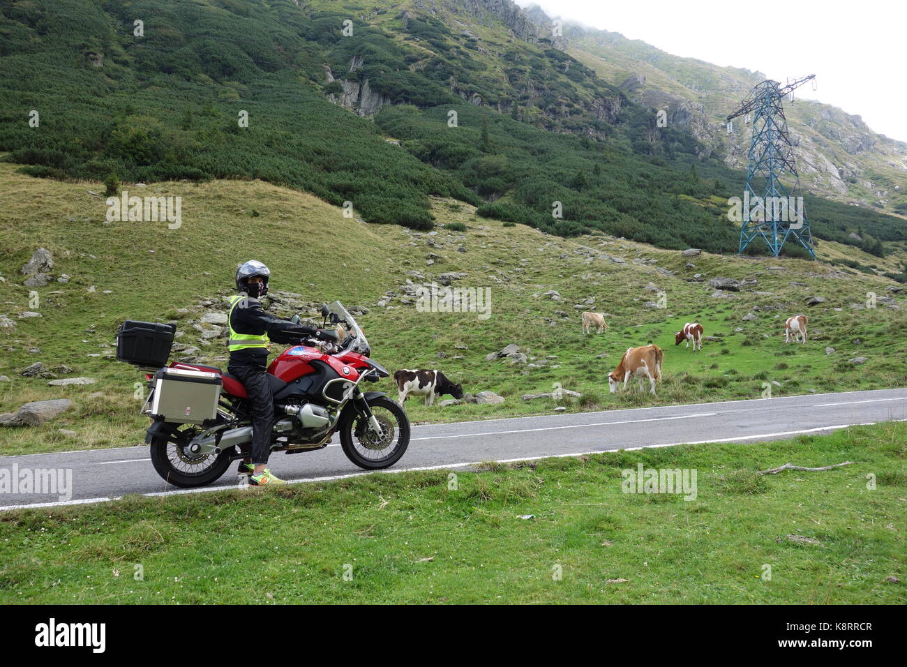 Biker homme conduisant une bmw r 1200 gs rouge dans la région de Transylvanie de l'aventure sur la route Transfagarasan. Roumanie. août 2017 Banque D'Images