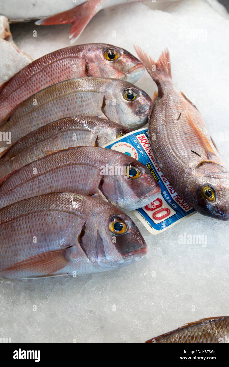 Poissons frais du makaire bleu en vente chez les marchands à Playa Blanca, Lanzarote, îles Canaries, Espagne Banque D'Images