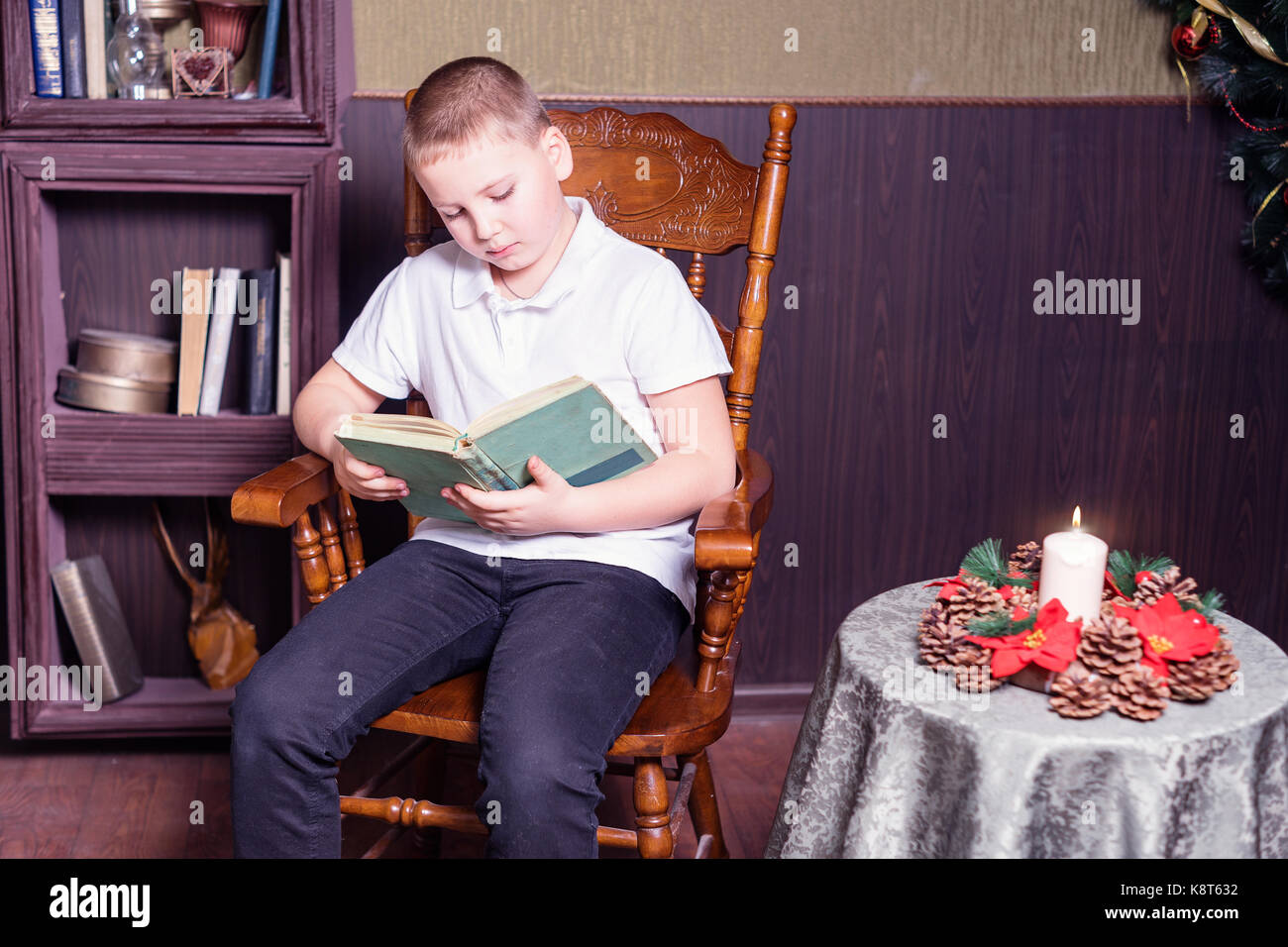 Boy reading book Banque D'Images