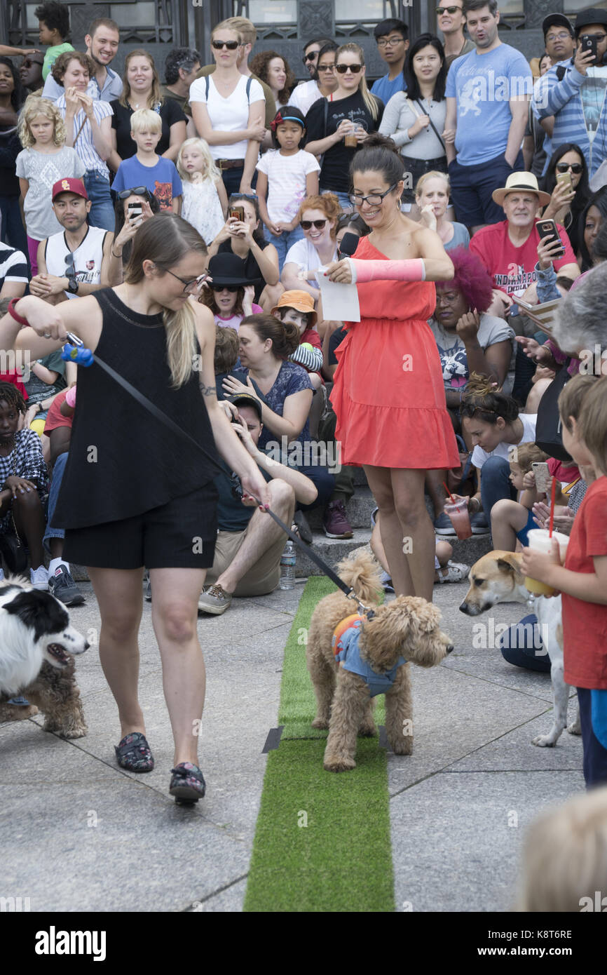 Les amoureux des animaux célébrer la Journée chien à la Brooklyn Public Library avec un défilé de chien sur le tapis vert. Chien nationale est célébrée le 26 août chaque année et a été fondé en 2004 par d'animaux de compagnie et de vie de la famille et d'experts, défenseur des animaux Colleen Paige. Banque D'Images
