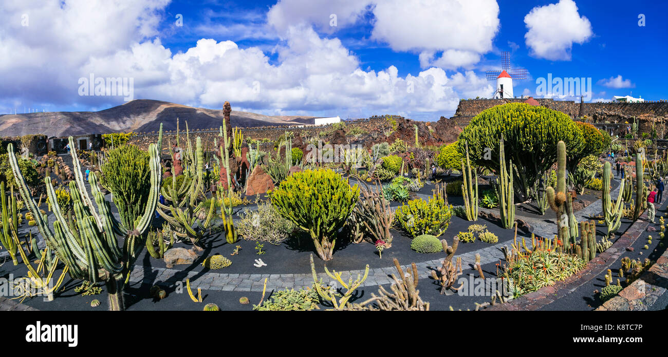 Cactus jardin populaire dans l'île de Lanzarote, canary,Espagne. Banque D'Images