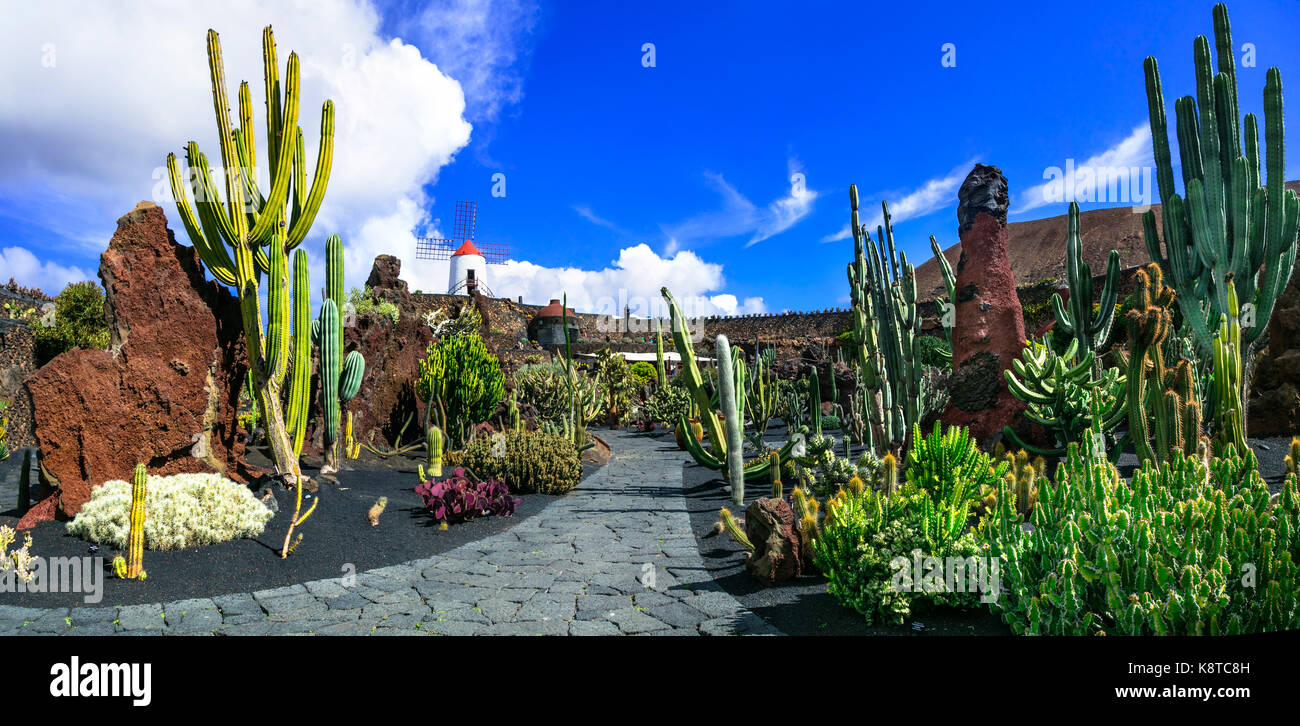 Cactus jardin populaire dans l'île de Lanzarote, canary,Espagne. Banque D'Images
