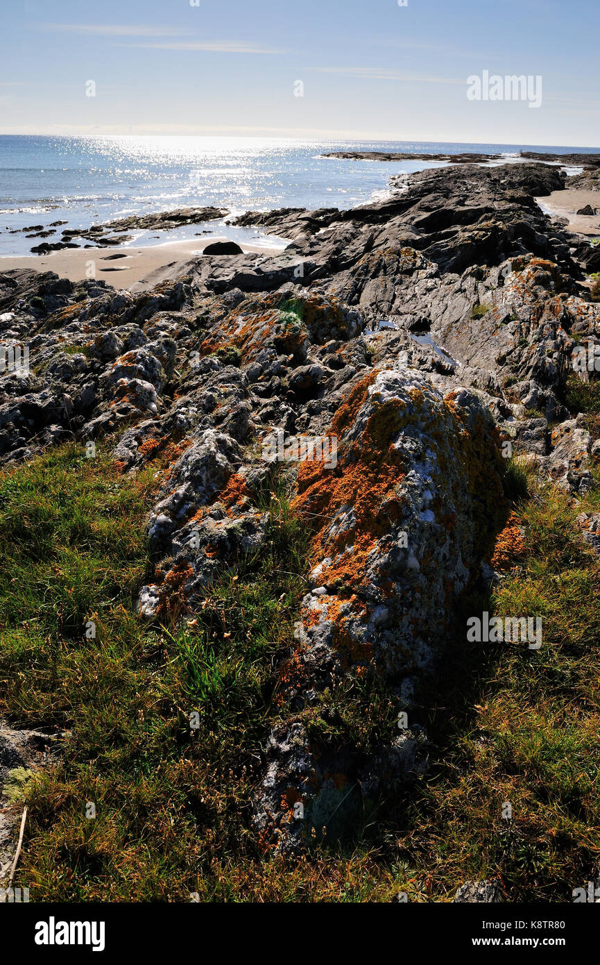 Makir beach islay Ecosse Banque D'Images