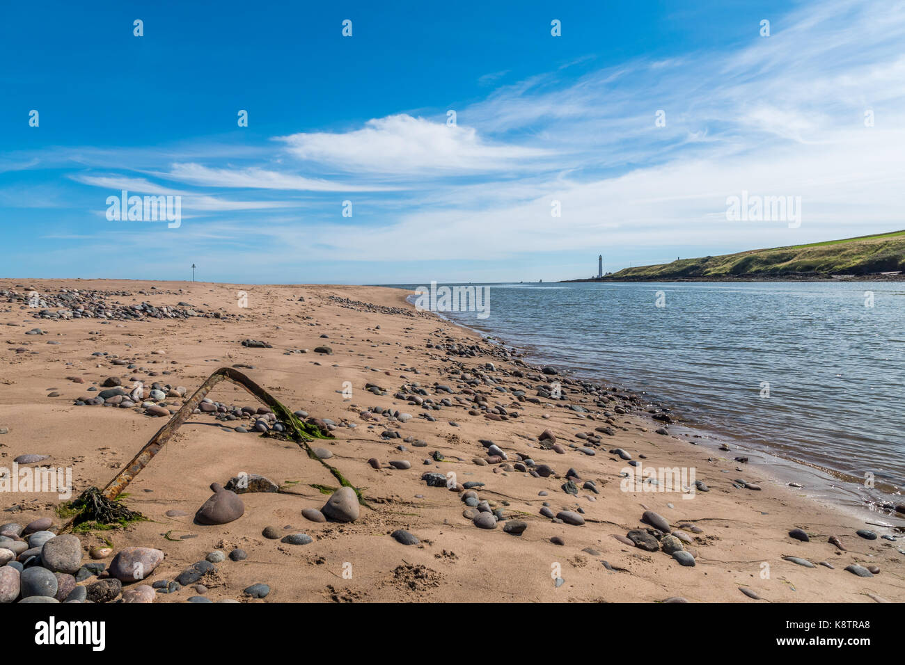 Plage de Montrose, l'estuaire et de la baie. Banque D'Images