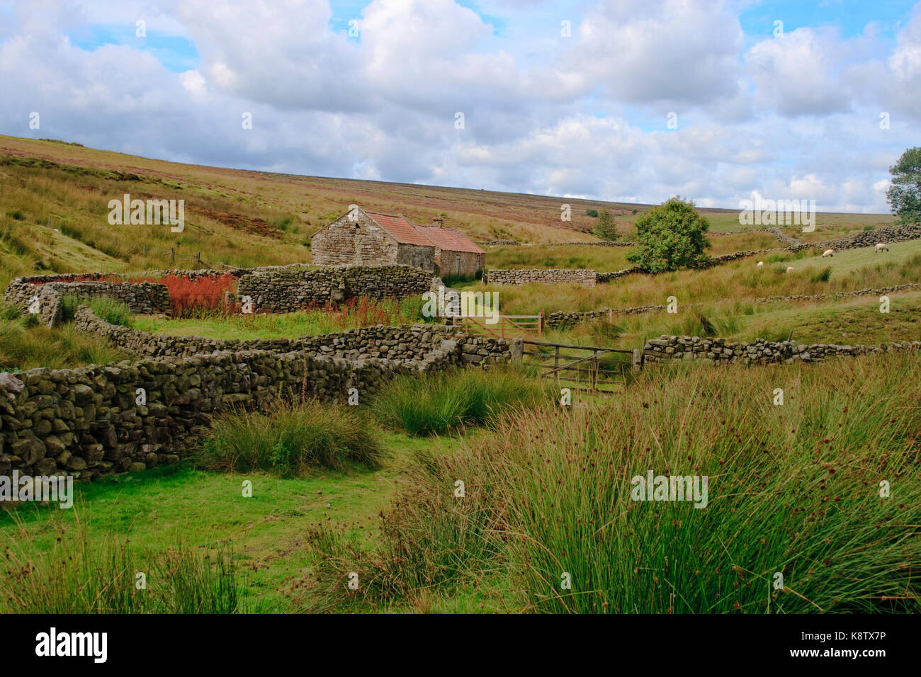 Cabane solitaire egton North Yorkshire Moors moor Banque D'Images