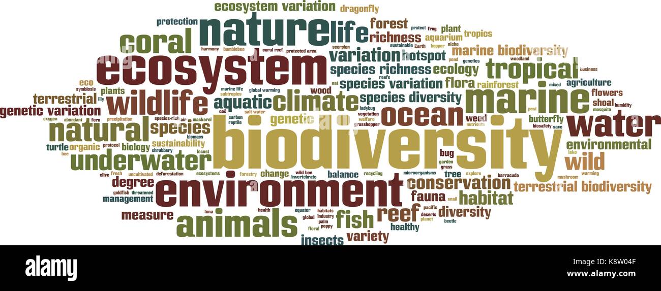 Mot de la biodiversité concept cloud. vector illustration Illustration de Vecteur