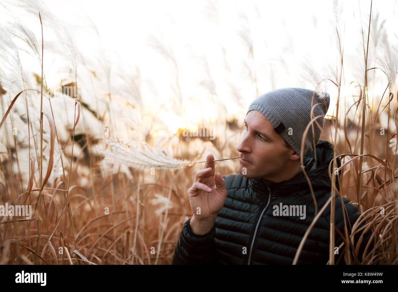 Les hommes dans un champ au coucher du soleil saison avec hat Banque D'Images