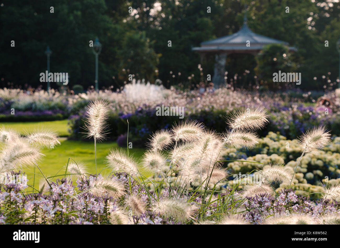RENNES, FRANCE. 27 août 2017. Le kiosque du Parc du Thabor, vu à travers les parterres de fleurs de la fin de l'été plantés de graminées ornementales. Banque D'Images