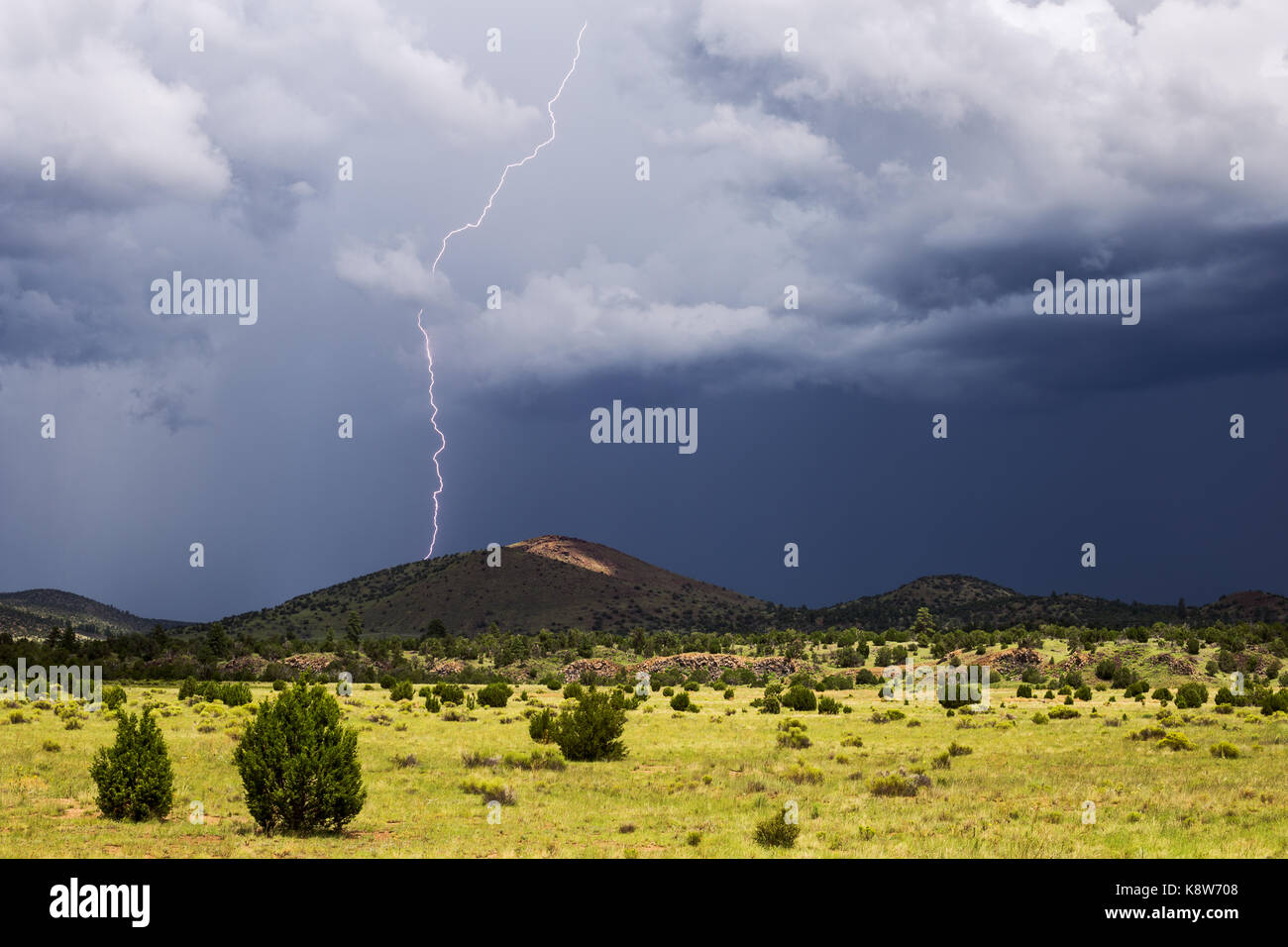 La foudre entre nuages et sol frappe lors d'une tempête estivale au-dessus du champ volcanique de San Francisco Peaks, près de Flagstaff, en Arizona Banque D'Images