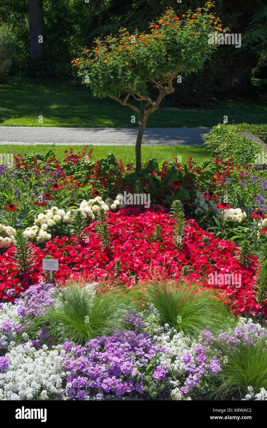 Offres et jardin sur l'île de Mainau, sur le lac de Constance (Bodensee), le sud de l'Allemagne Banque D'Images