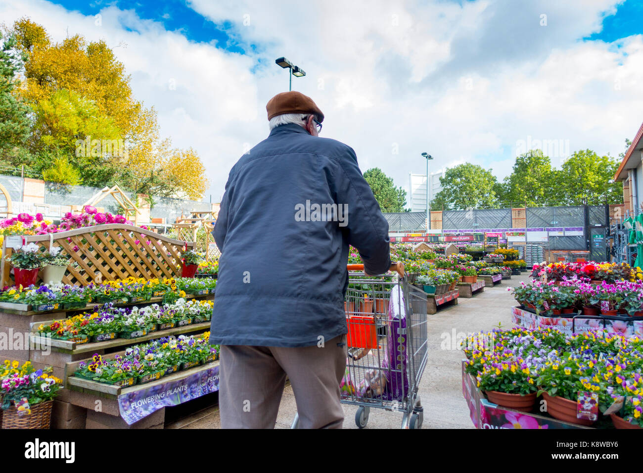 Personnes âgées male homme marchant avec un panier dans la section jardin en fleurs au magasin de bricolage b&q à Rhyl, au nord du Pays de Galles, Banque D'Images