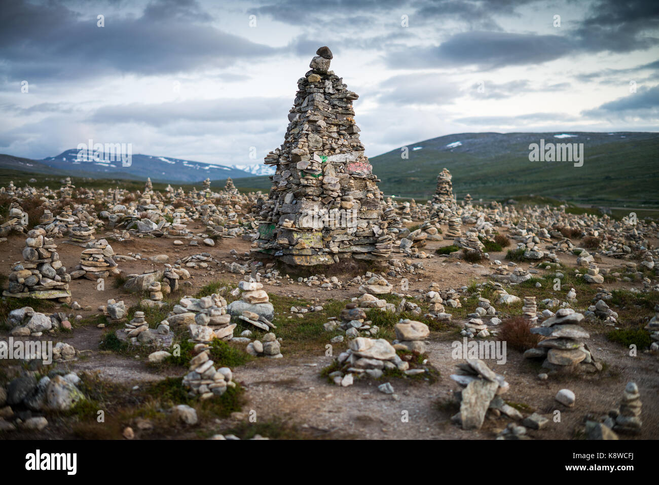 Le cercle arctique, près de storjord, storforshei, Norvège, Scandinavie, l'Europe. Banque D'Images