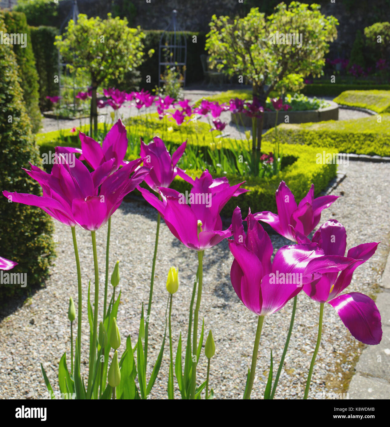 PLAS Cadnant Gardens, Menai Bridge, Anglesey North Wales, Banque D'Images