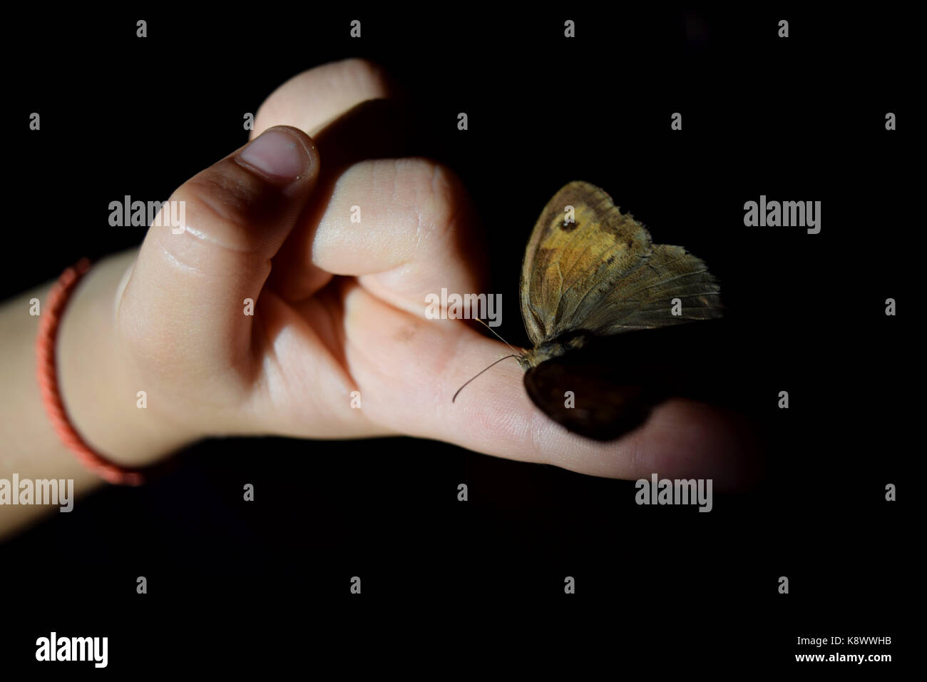 La main de bébé avec papillon, sur fond noir Banque D'Images