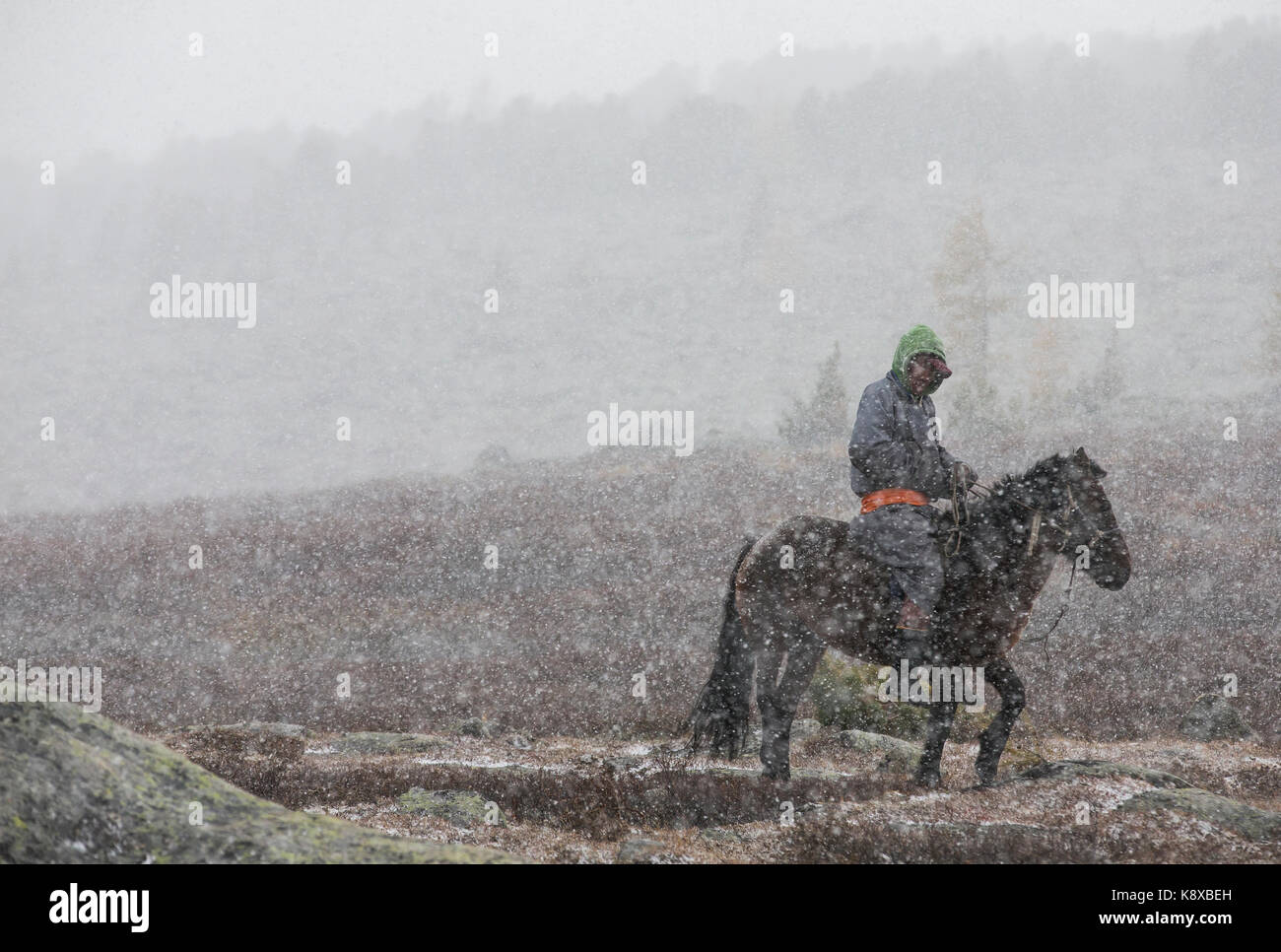 Cavaliers mongols avec leurs chevaux dans une tempête de neige dans le nord de la Mongolie Banque D'Images