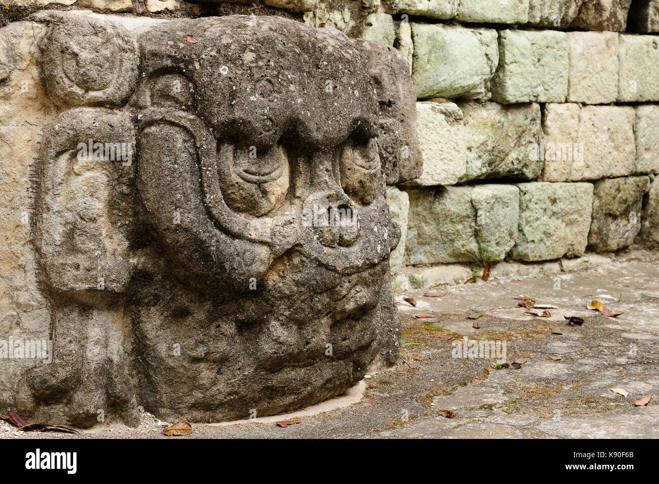 Le Honduras, cité maya à Copan ruines. La photo présente le détail de la décoration de murs du temple Banque D'Images