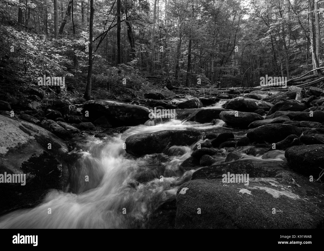 Lynn camp broche est l'un des deux principaux affluents de la broche du milieu de la petite rivière dans le Great Smoky Mountain National Park. Il est situé dans la région de tremont le parc et est accessible par le sentier de terre du milieu qui suit le ruisseau. Banque D'Images