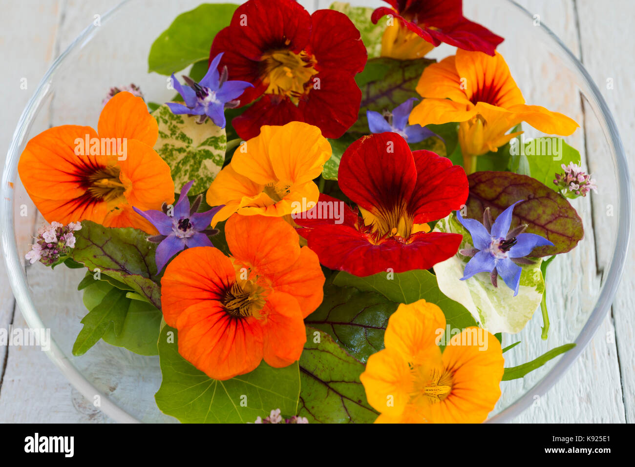 Une salade de fleurs comestibles dont capucine, la bourrache et la marjolaine. Banque D'Images