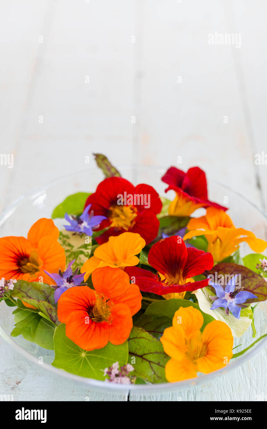 Une salade de fleurs comestibles dont capucine, la bourrache et la marjolaine. Banque D'Images