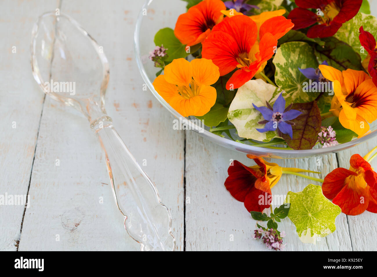 Une salade de fleurs comestibles dont capucine, la bourrache et la marjolaine. Banque D'Images